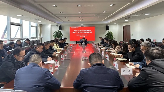 集團(tuán)黨委委員、副總經(jīng)理?xiàng)罱鸫ǖ焦拘v黨的二十屆三中全會(huì)和省委十二屆六次全會(huì)精神